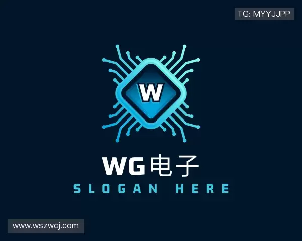 关于wg电子